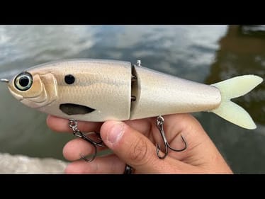 Watch MONSTER BASS crush BIG SWIMBAITS!!