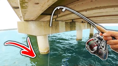 I Found Out why EVERYONE Fishes this Spot 😳