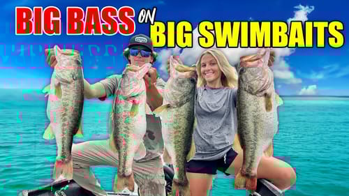 BIG BASS on BIG SWIMBAITS - 30lbs on the Skeeter!