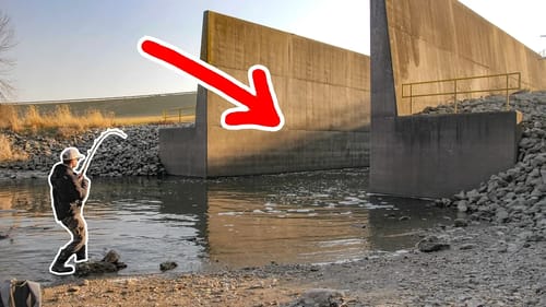 GIANT Mystery Fish in POWER PLANT SPILLWAY!!!