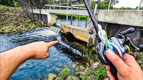 I Can't Believe These INSANE Fish Were Hiding Here!
