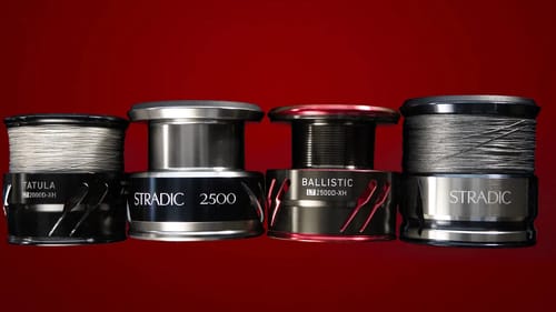 New Shimano Stradic FL -TALL-  spool comparison to the FK and Daiwa LT reels.