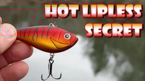 The SECRET To Winter LIPLESS Fishing