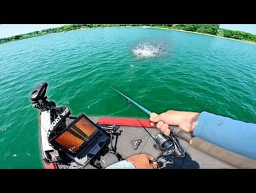 Pond Bass MADNESS! Chucking GIANT Topwaters For Salt Pond Bass -- PART 9 (Never Stop 3)