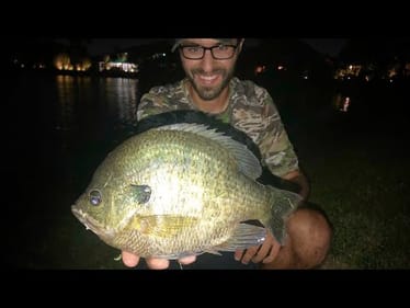 MONSTER BLUEGILL FISHING with LURES!!!