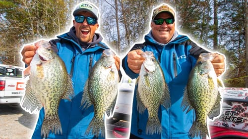 How To Fish The DOUBLE JIG RIG For BIG CRAPPIE!! (CATCH AND COOK!)