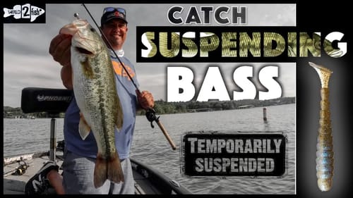 My Favorite Swimbait Technique for Suspending Bass