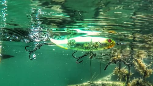 River2Sea Whopper Plopper Silent Underwater Video