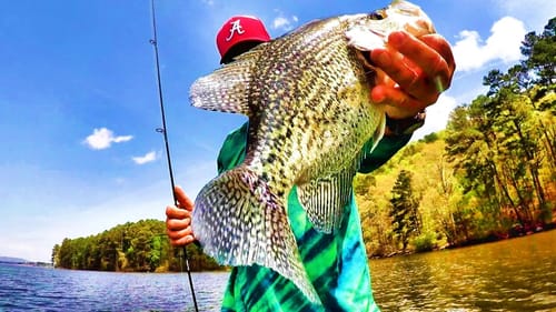 BIG SLAB CRAPPIE LOVE THIS JIG!!! (A MUST TRY!!!)
