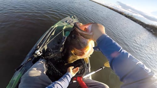 Double Digit Bass on the Chatterbait (11lb bass)