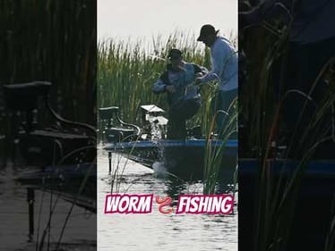 Worm 🪱 Fishing Lake Okeechobee MLF Toyota Series #shorts #floridafishing #fishing