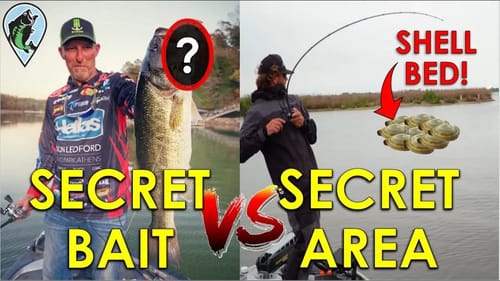 Which is Better: Secret Bait or Secret Area? | Bass Fishing Insight
