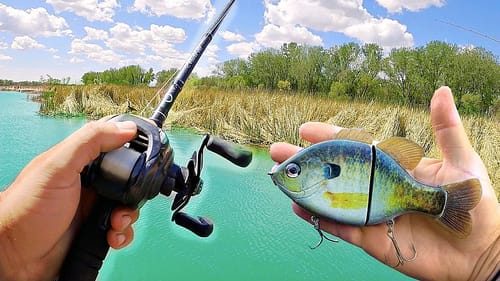 Searching for BIG Spring Bass in HEAVY Cover!! (Lake Fishing)