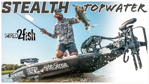 Topwater Fishing Bass with Stealth | Stack Your Odds