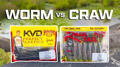 Fishing a WORM & CRAW (Which Bait's Catches MORE Bass?)