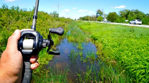 Tiny FLOODED Ditches are LOADED with Fish!!!