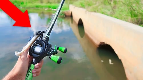 Catching TROPHY Bass in TINY CANAL (Bank Fishing)