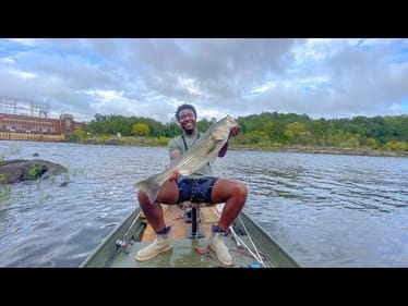 Dam Fishing For BIG Striped Bass (Catch Clean & Cook)