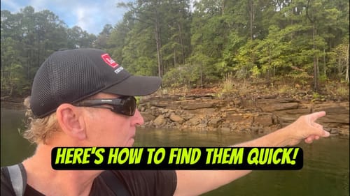 THIS Is How To Quickly Find Bass If You Are Struggling To Locate Them…