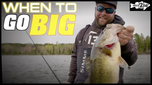 The Power of Big Jigs for Cold Front Bass