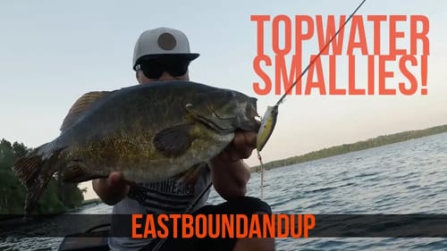 Topwater Smallmouth on Megabass Pop Max Fishing in the Midwest