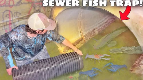 Trapping Sewer INFESTED With AQUARIUM FISH!