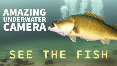 See ALL The Fish (Better Than Forward-Facing Sonar?)