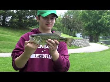 Summer Reeling (5/22/10)