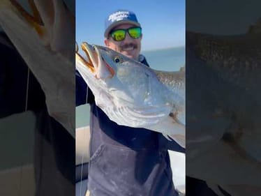 I Just Caught My BIGGEST Trout EVER! #fishing #fishingvideos