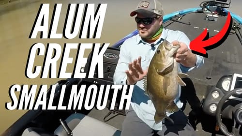 Alum Creek OHIO Bass Fishing (Finding the WINNING Fish)