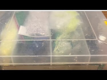 The Most Important Tackle Box A Bass Angler Can Own…