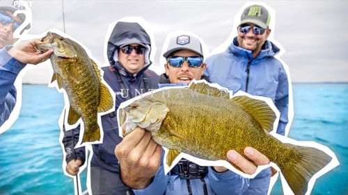 EPIC 💯BASS CHALLENGE! | Lake Michigan Smallmouth Fishing