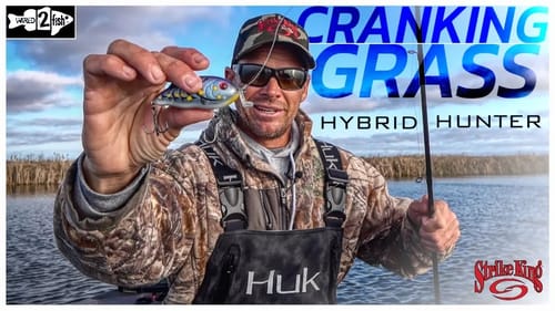 A Better Way to Fish Grass with the Strike King Hybrid Hunter