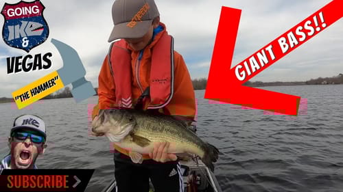 Vegas "The Hammer" Catches GIANT BASS!!