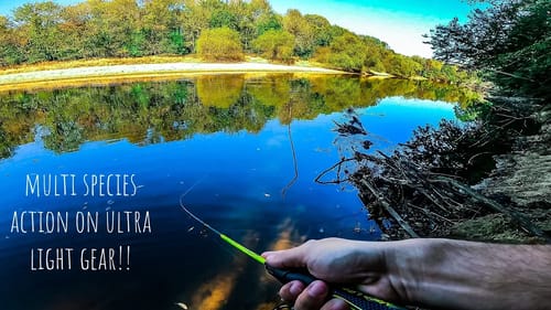 BANK FISHING For MULTI SPECIES While Using ULTRA LIGHT Tackle!!! || These Fish Were Hungry!!!