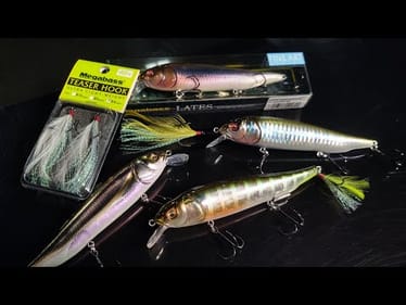 The Most Underrated Megabass Jerkbait You've Never Heard Of!
