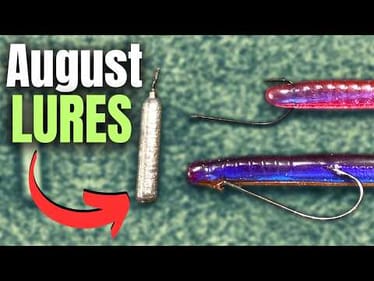 AUGUST Lures Big BASS Can't Resist