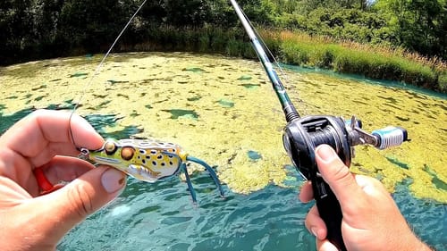 Searching for GIANT Bass in the Heat of Summer!!!