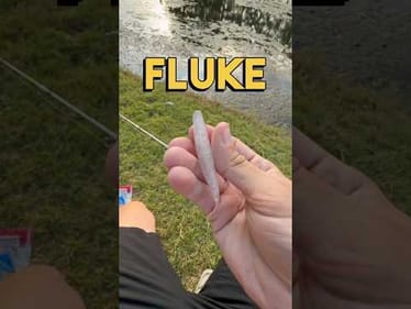 Catch More Fall Bass with This Soft Plastic Jerkbait Technique #fishing