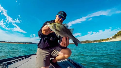 GRAND SLAM!!! BEES SWARM While Fishing for 3 Different Bass Species!