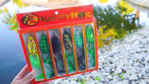 CHEAPEST Frog Fishing Kit (Is It Worth It?)