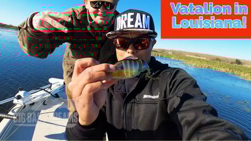 Fishing the Megabass Vatalion in Louisiana with the Yeti Ambassador BBQ Wizard Chris Lilly!