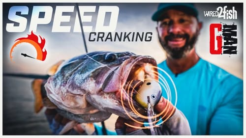 How Gerald Swindle Burns Crankbaits for Summer Bass