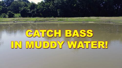 Bass Fishing in Muddy Water | Bass Fishing