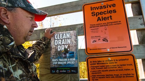 How to Stop the Spread of Invasive Species