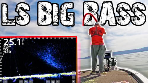 BASS Fishing With LIVESCOPE! They CRUSH This BAIT! (Loaded & Engine Pro 2.0 E-Bike Review)