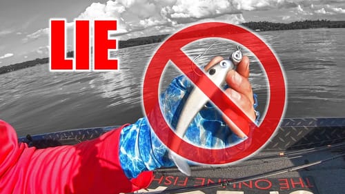 Swimbaits NEVER catch BASS (LIE!!!) ~ Beginner's Guide to Swimbait Fishing