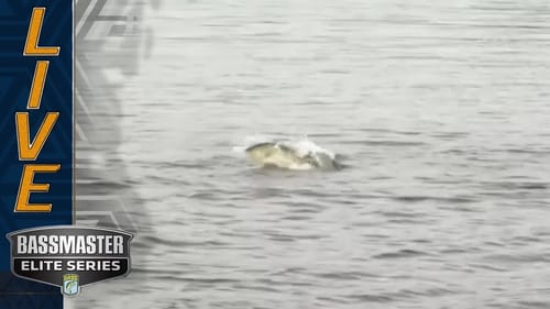 Lake Murray bass exploding on bait fish by Trey McKinney