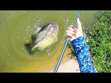 I’ve been CHASING this BASS of a LIFETIME for SO LONG!! 