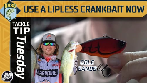 Lipless Crankbait Fishing 101 with Elite Series Rookie Cole Sands